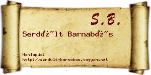 Serdült Barnabás névjegykártya