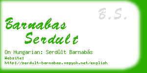 barnabas serdult business card