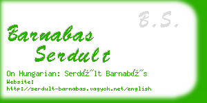 barnabas serdult business card